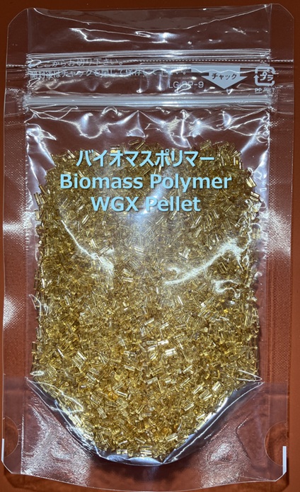 バイオマスポリマー及びその成形品